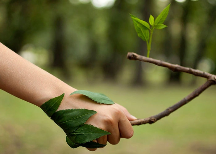 MEDIO AMBIENTE
